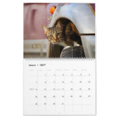 HAMbyWG - Rustikale Katzen & Kätzchen Kalender (Mär 2027)