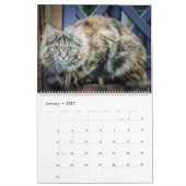 HAMbyWG - Rustikale Katzen & Kätzchen Kalender (Jan 2027)