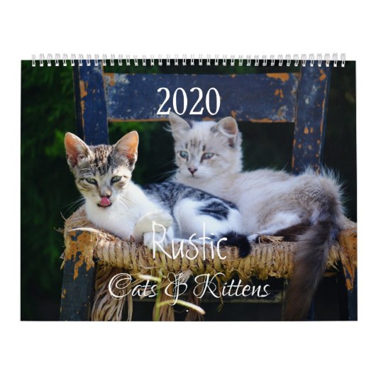 HAMbyWG - Rustikale Katzen & Kätzchen Kalender (Titelbild)