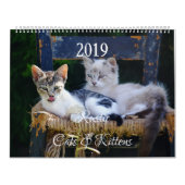 HAMbyWG - Rustikale Katzen & Kätzchen Kalender (Titelbild)