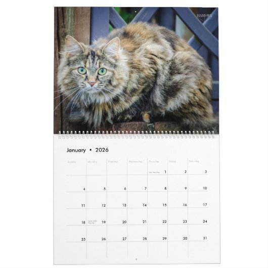 HAMbyWG - Rustikale Katzen & Kätzchen Kalender (Jan 2026)