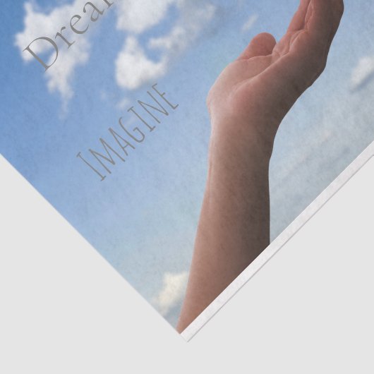 HAMbyWG - Schmetterling in Hand Seidenpapier (Ausschnitt)