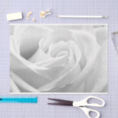 HAMbyWG - Schwarz & Weiß, Weiße Rose Seidenpapier (Handwerk)