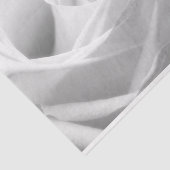 HAMbyWG - Schwarz & Weiß, Weiße Rose Seidenpapier (Ausschnitt)