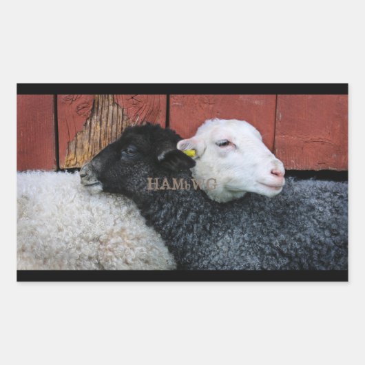 HAMbyWG- Stickers - Schwarzes Schaf, weißes Schaf (Vorderseite)