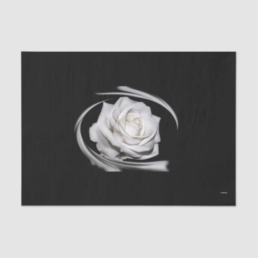HAMbyWG White Rose - Seidenpapier (Vorderseite)