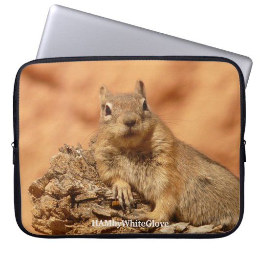 HamEichhörnchen - 15" Laptop-Sieb Laptopschutzhülle (Vorderseite)