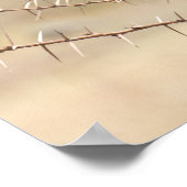 Hamerkop in Thorns - African Bird Poster (Ecke)