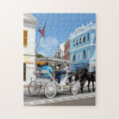 Hamilton Bermuda Carriage Ride Puzzle (Vertikal)