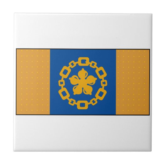 Hamilton Ontario, Kanada Fliese (Vorderseite)