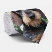 Hamish Krawatte (Gerollt)