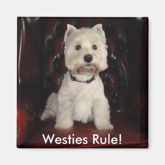 Hamish McTavish Westies Rule Kühlschrankmagnet (Vorne)