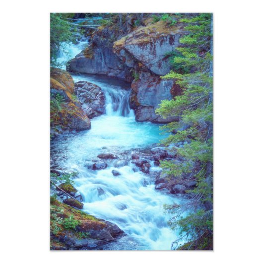 Hamma Hamma Creek Fotodruck (Vorne)