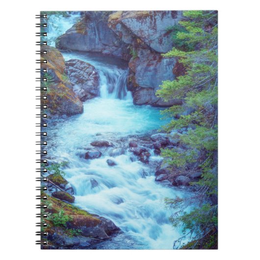 Hamma Hamma Creek Notizblock (Vorderseite)