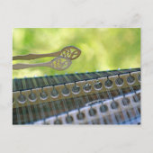 Hammer Dulcimer Mallets Postkarte (Vorderseite)