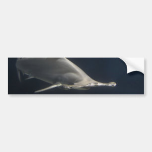 Hammerhai Autoaufkleber
