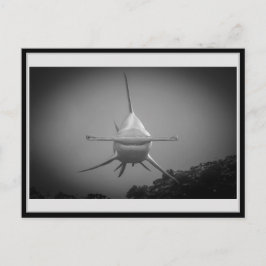 Hammerhai BW 000 Hammer Kopf Haifisch ハ 1ヘド Postkarte