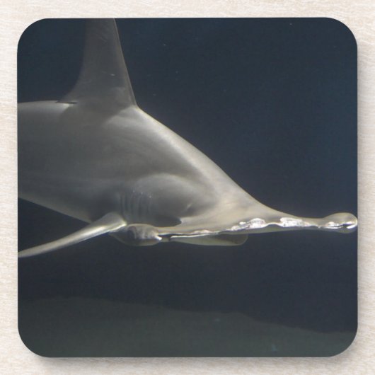 Hammerhai-Haifisch Getränkeuntersetzer (Vorderseite)