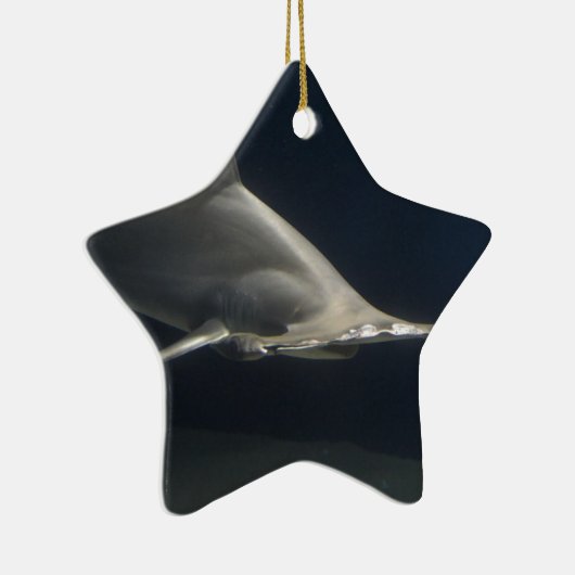 Hammerhai-Haifisch Keramikornament (Rechts)