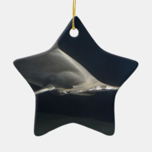 Hammerhai-Haifisch Keramikornament (Vorne)