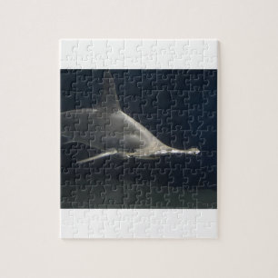 Hammerhai-Haifisch Puzzle