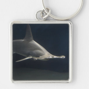Hammerhai-Haifisch Schlüsselanhänger