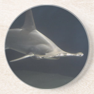 Hammerhai-Haifisch Untersetzer