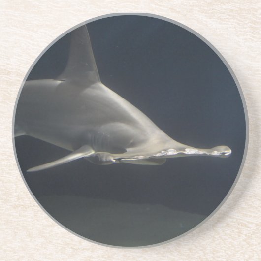 Hammerhai-Haifisch Untersetzer (Vorne)