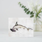 Hammerhai Postkarte (Stehend Vorderseite)