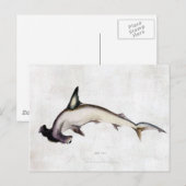 Hammerhai Postkarte (Vorne/Hinten)