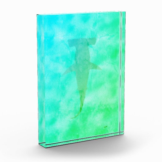 Hammerhaihai Fotoblock (Links)