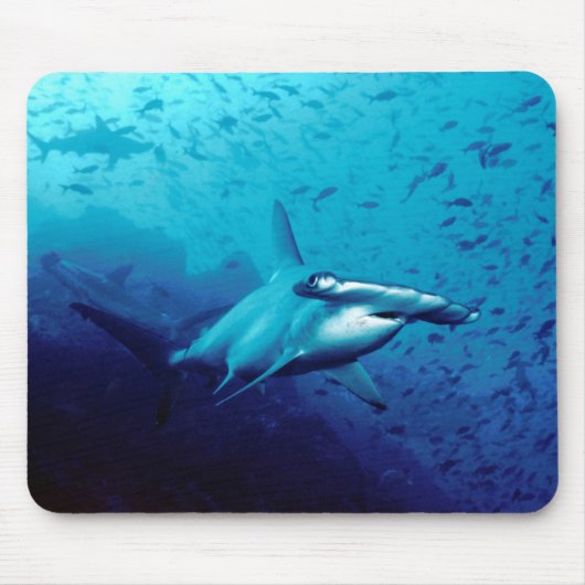 Hammerhaihaifisch Mousepad (Vorne)