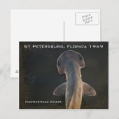 Hammerhead Shark Florida Postcard Postkarte (Vorne/Hinten)