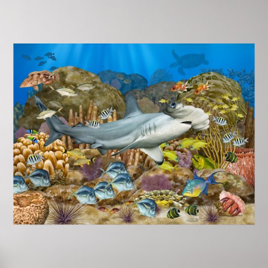Hammerhead Shark Over Coral Reef Poster (Vorne)