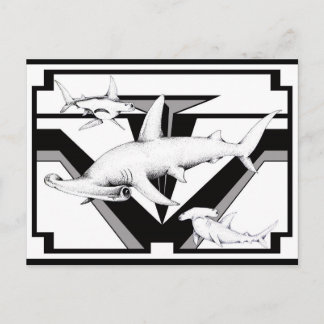 Hammerhead Shark Postcard Postkarte