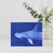 Hammerhead Shark Postcard Postkarte (Stehend Vorderseite)