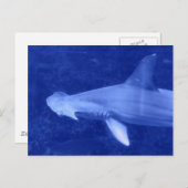 Hammerhead Shark Postcard Postkarte (Vorne/Hinten)