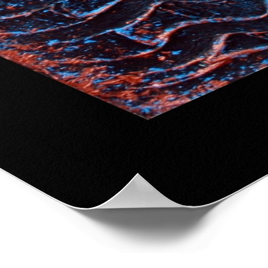 Hammerhead Shark Poster (Ecke)