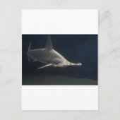 Hammerhead Shark Postkarte (Vorderseite)