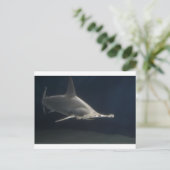 Hammerhead Shark Postkarte (Stehend Vorderseite)