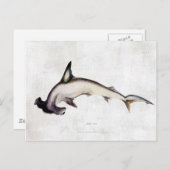 Hammerhead Shark Postkarte (Vorne/Hinten)