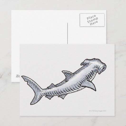 Hammerhead Shark Postkarte (Vorne/Hinten)
