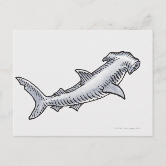 Hammerhead Shark Postkarte (Vorderseite)
