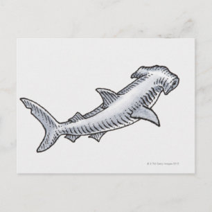 Hammerhead Shark Postkarte