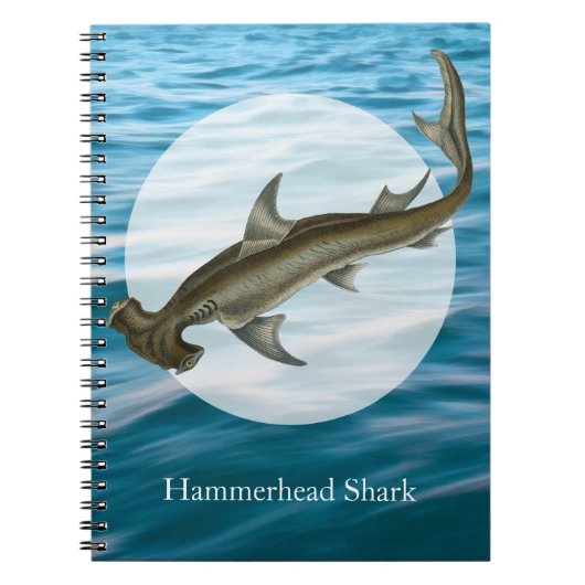 Hammerhead Shark Sea Life Notizblock (Vorderseite)