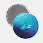Hammerkopfhai Magnet (Vorderseite/Rückseite)