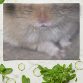 Hammie Küchentuch (Gefaltet)