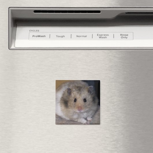 Hammie Magnet (In Situ (Geschirrspüler))