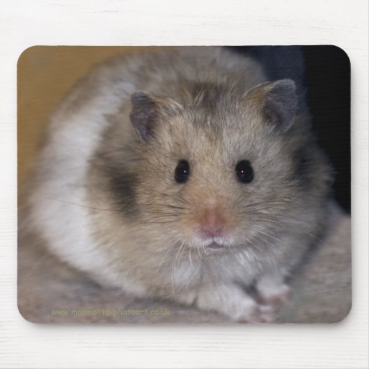 Hammie Mousemat Mousepad (Vorne)