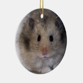 Hammie Ornament (Rechts)